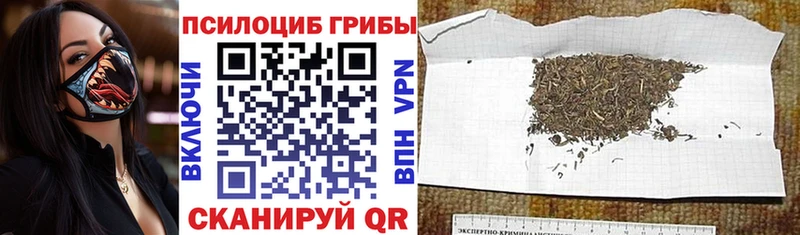 цена   Колпашево  Псилоцибиновые грибы прущие грибы 